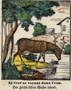 Fables from La Fontaine: the deer seeing themselves in the water by French School