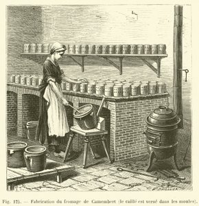 Camembert Cheese Making, the Curd is Poured into Molds by French School
