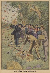 Festival of birds in Belgium
