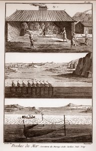 Fishing, Herring and Sardines - 