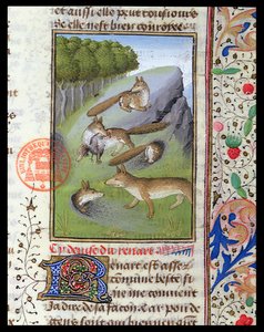 Foxes, from the Livre de la Chasse by Gaston Phebus by French School