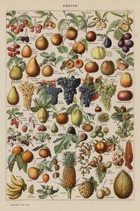 Fruits