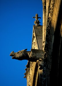 Gargoyle of Laon Cathedral in Aisne (02)