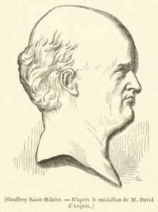 Geoffroy Saint-Hilaire (engraving) by French School