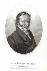 George Cuvier by French School