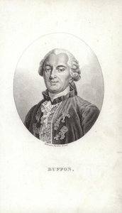 Georges-Louis Leclerc by French School