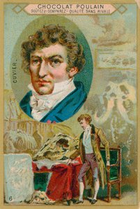 Georges Cuvier by French School