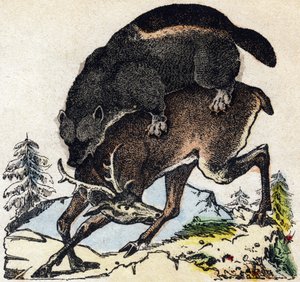 Glutton. Engraving in 