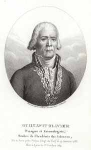 Guillaume Antoine Olivier by French School