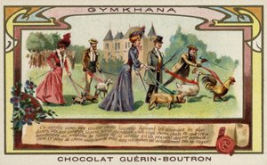 Gymkhana