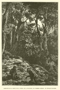 Inhabitants of Greece, Switzerland, and Provence in the Early Pliocene Epoch by French School