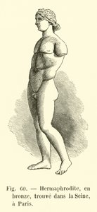 Hermaphrodite, in Bronze, Found in the Seine, Paris