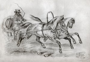 Horse car
