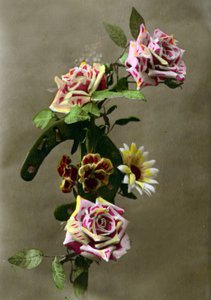Horseshoe and Flowers