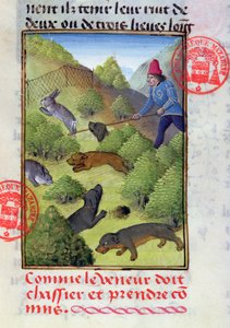 Hunting rabbits with dogs and nets, from the Livre de la Chasse by Gaston Phebus by French School