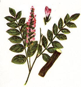 Illustration for 