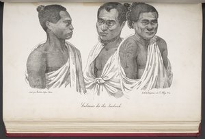 Inhabitants of the Sandwich Islands, from 