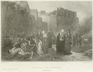 Insulting the Prisoners