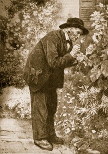 Jean-Henri Fabre observing insects