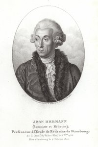 Jean Hermann by French School