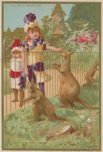 Kangaroos at a zoo by French School