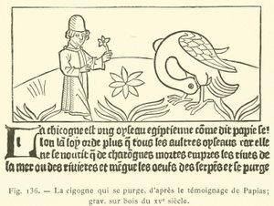 The Stork Purging Itself by French School