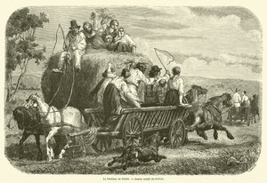 Haymaking in Fionie