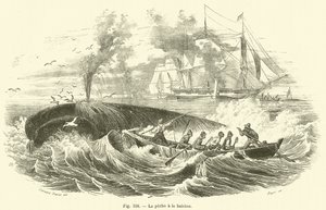 Whale Fishing by French School