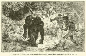 The Gorilla (engraving) by French School