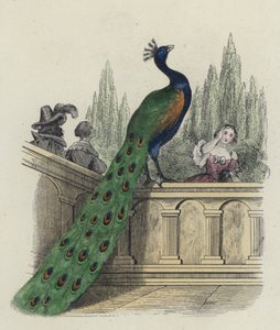 The Peacock Complaining to Juno by French School