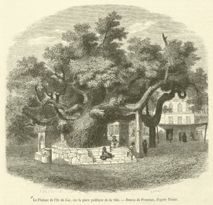 The Plane Tree of the Island of Cos in the Public Square of the City