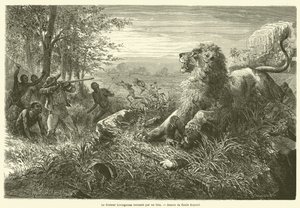 Dr. Livingstone Overpowered by a Lion by French School