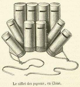 The Whistle of Pigeons, in China (engraving) by French School