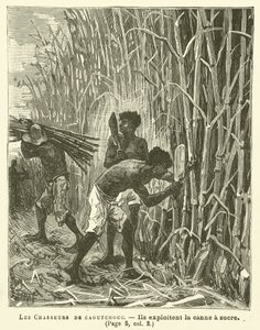 The Rubber Hunters (engraving)