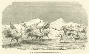 The Pygmies Fighting the Cranes by French School