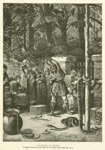 The Serpents in Paraguay (engraving) by French School