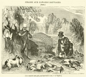 The Ducks are Caught, Their Necks are Twisted