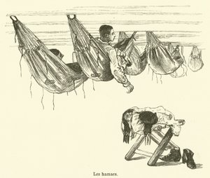 The Hammocks