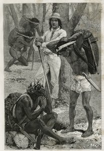 The Porters (Caucheros), in Darien, Engraving after a Drawing by D. Maillart, to Illustrate the Story Exploration at the Isthmus of Panama and Darien, by A. Reclus, Lieutenant of Ship, from 1876 to 1878, Published in Le Tour du Monde by French School
