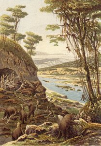 The Early Ages of Humanity, Era of the Cave Bear by French School