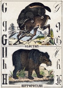 Letter G Glutton; H Hippopotamus. Engraving in 