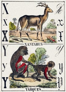 Letter X Xantarus; Y Yarques