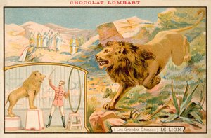Lion by French School