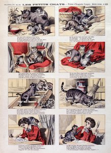 Little cats - Epinal imaging