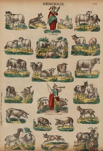 Livestock farming by French School