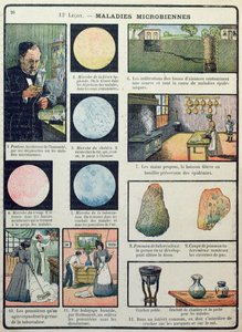 Louis Pasteur and Bacterial Diseases, from Les Sciences Physiques et Naturelles, Paris, 1908