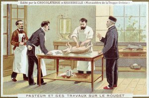 Louis Pasteur Working on the Investigation of Measles, Advertising Card for the Chocolaterie d