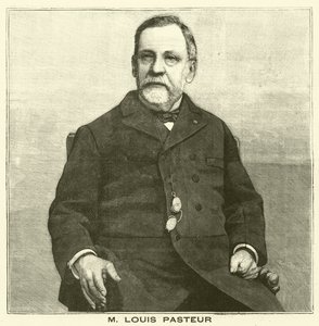 Louis Pasteur, French Microbiologist (engraving)