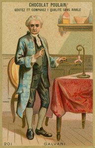 Luigi Galvani by French School