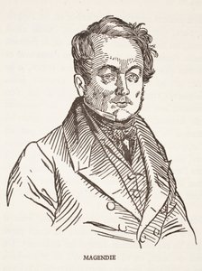 Magendie by French School